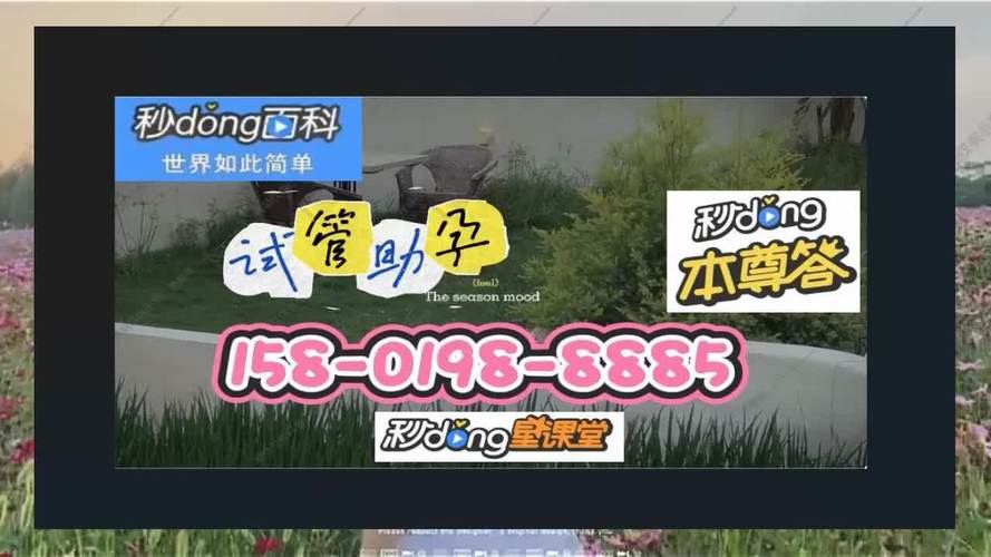 代生代怀公司哪家好(代生代怀公司哪家好？选择最佳的生育辅助机构)